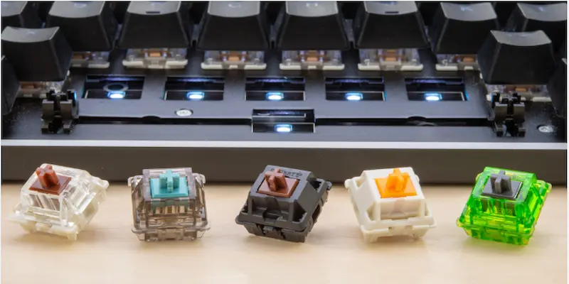 Best Tactile Switches of 2026